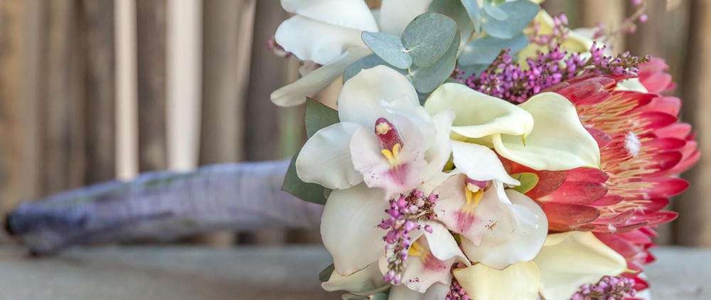 flower_header